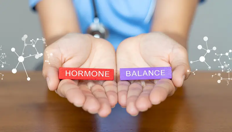 Hände mit Holzklötzen Hormone und Balance