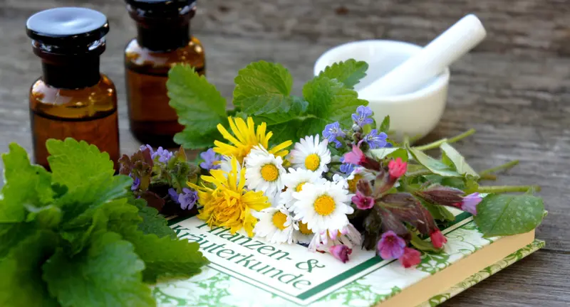 Heilkräuter, Tinkturen und Mörser